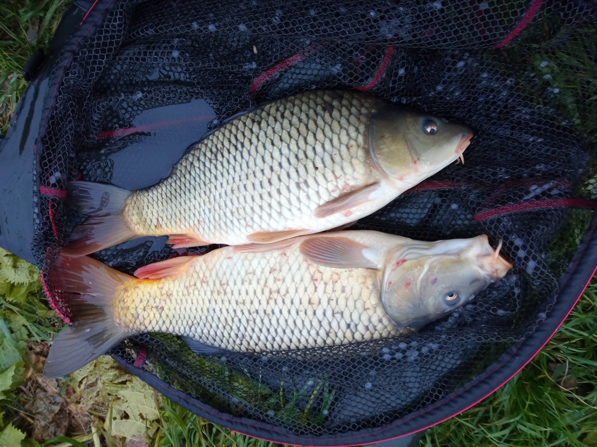 Prvý double